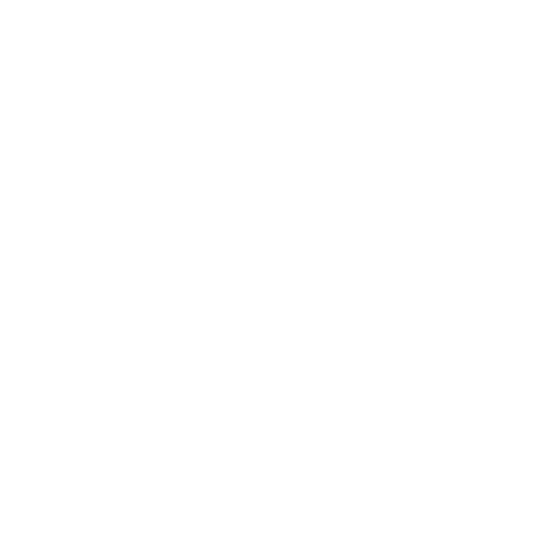 Agencia SEO Bloom Meraki